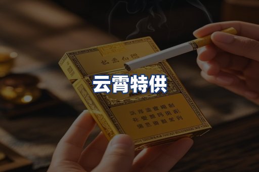 云霄特供